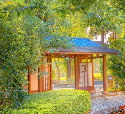电子科技大学吧