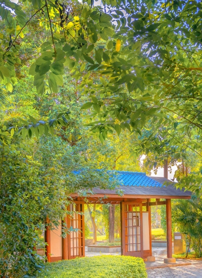 用粘土做迷你早餐