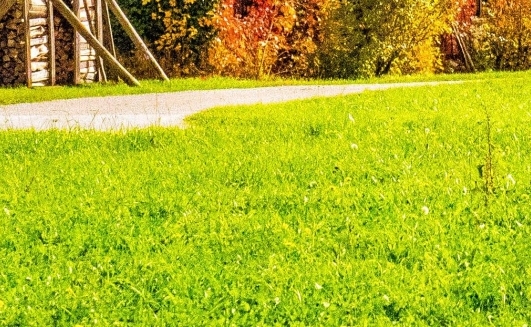 蘑菇屋第三季拍摄地
