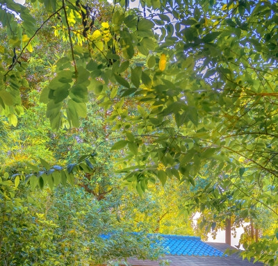 目标市场分析怎么写