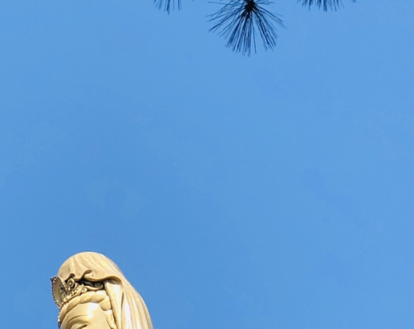 简单点的家常菜