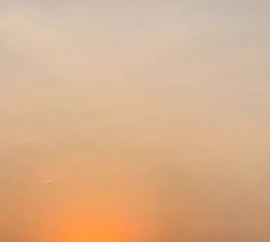 菜肴解说词