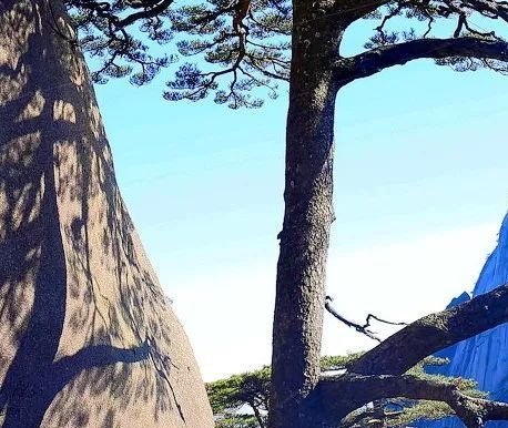 邢台123生活网