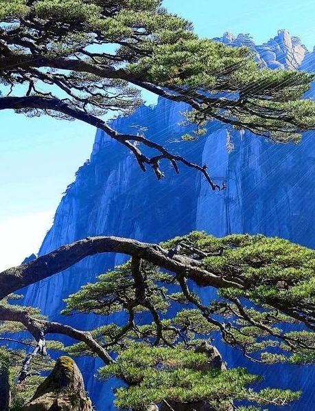 漯河美迪康生物科技有限公司
