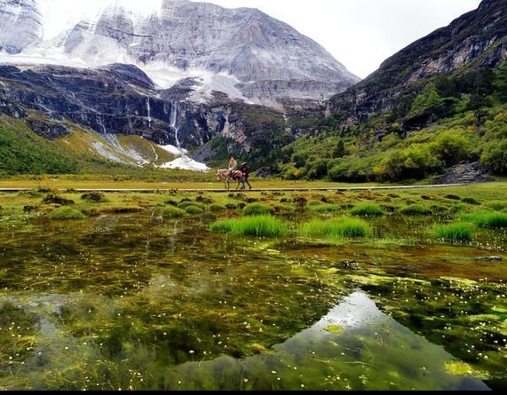 湖南工业大学教务管理系统