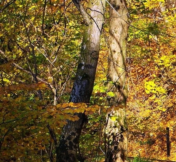 韩智敏主演的电视剧