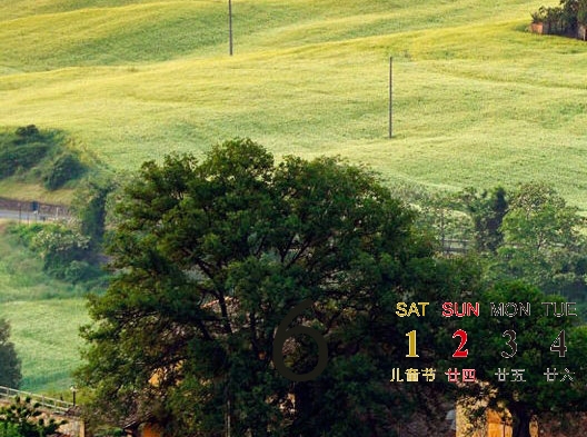 青岛科技大学跟山东科技大学哪个好