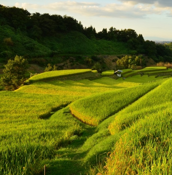 美味又简单的小点心跟美食小点心做法大全介绍