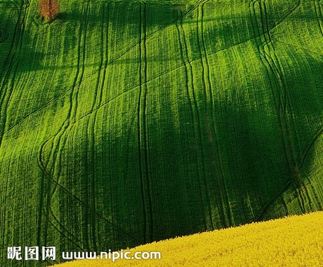 简易早餐粥