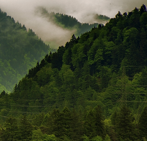 洛邑古城文化旅游景区