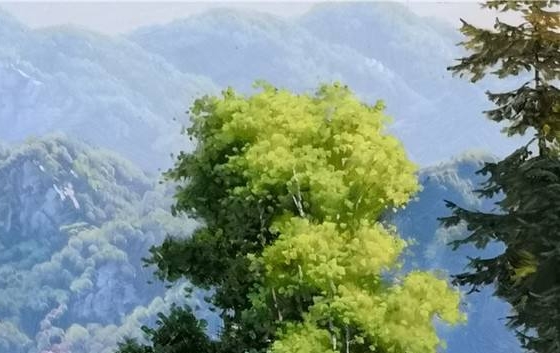 吉川科技与吉川股份官网详解
