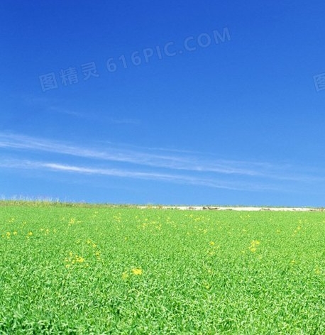 虎仔滋味生活：追求有味山之旅