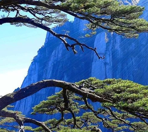 小散老俞