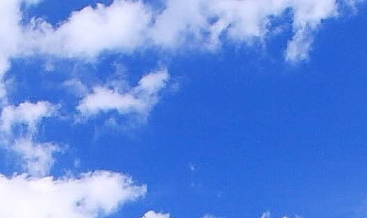 水饺的画法图片大全