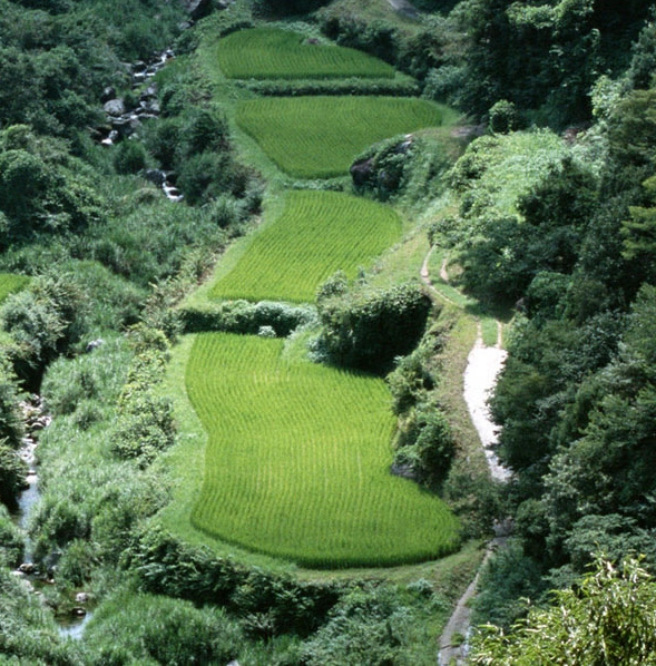 臻享美味