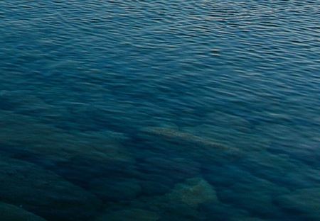 重庆科技学院教务系统登录 官网