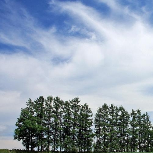 学生教务管理系统登录入口