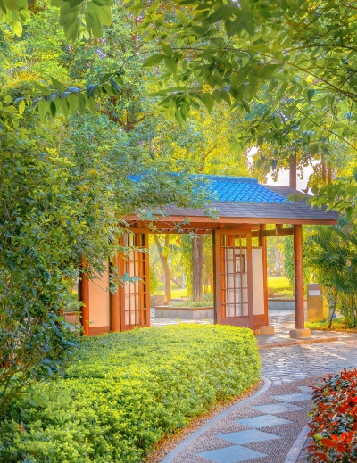 山东科技大学第五轮学科评估结果