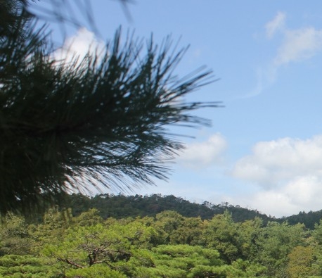 左岸小区