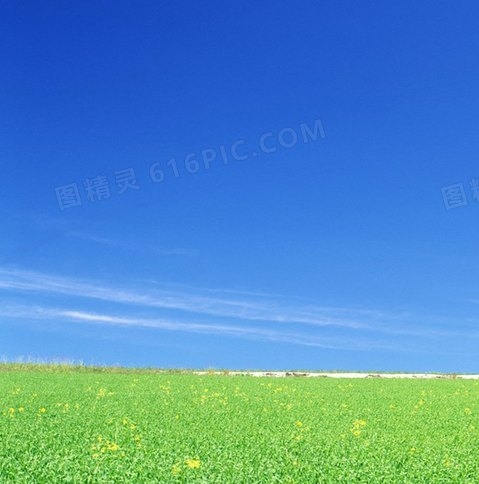 一件趣事200字