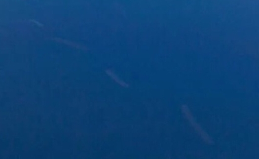 海棉拖把怎么换