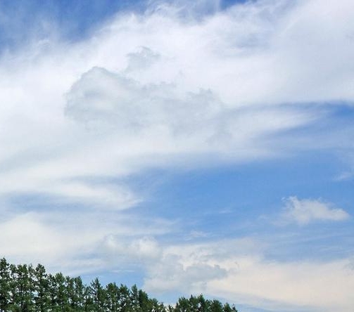 生活老师资格证怎么考取