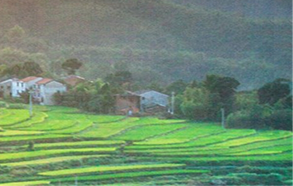 沈阳德阳科技有限公司与沈阳拓荆科技：地址比较