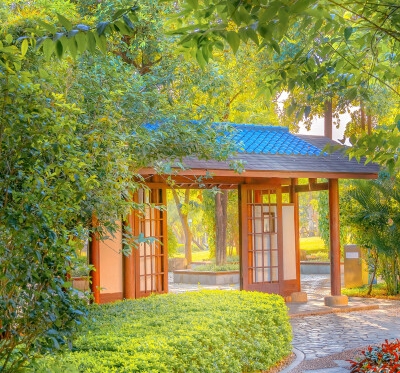 优刻得董事长简历