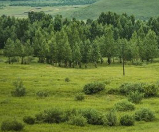 王义戈：山水画大师简历、欣赏与价格