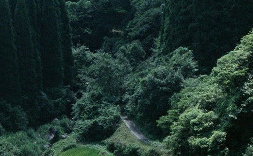 机智的露营生活
