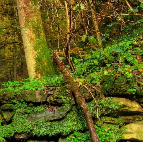 第九大奇迹登录签到