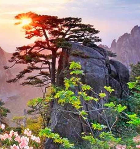 佛山云米电器科技