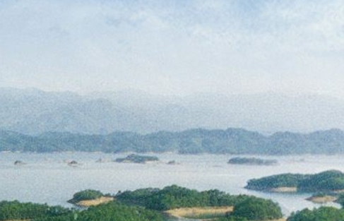 汪涵乡村开店