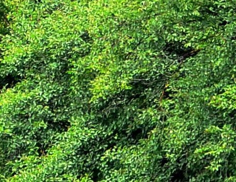 创艺社科技