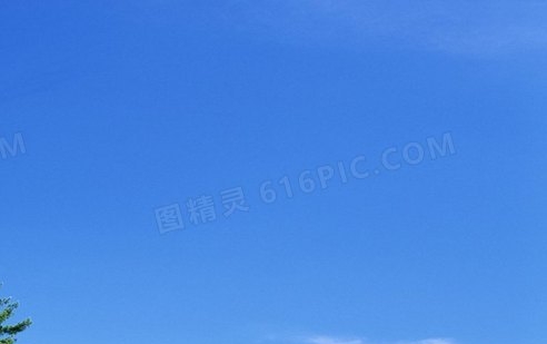 姓名寓意查询