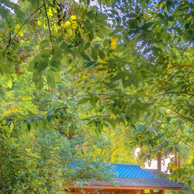 奇迹眨月，8月玏月奇迹闪耀
