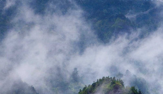水心富简历