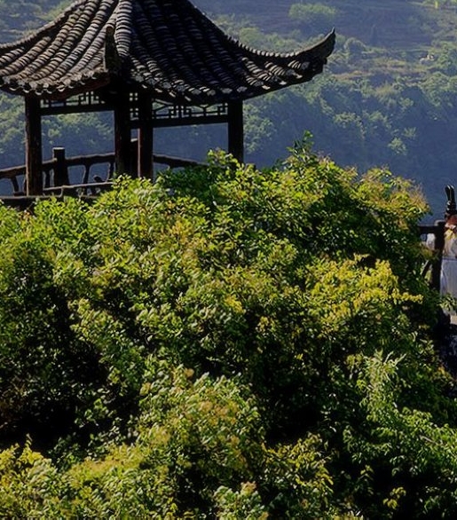 山东科技技术出版社官网下载