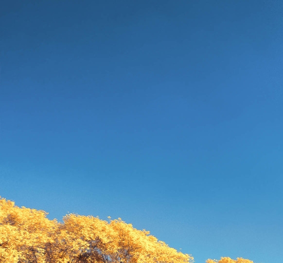 银行专业储备岗是干什么的