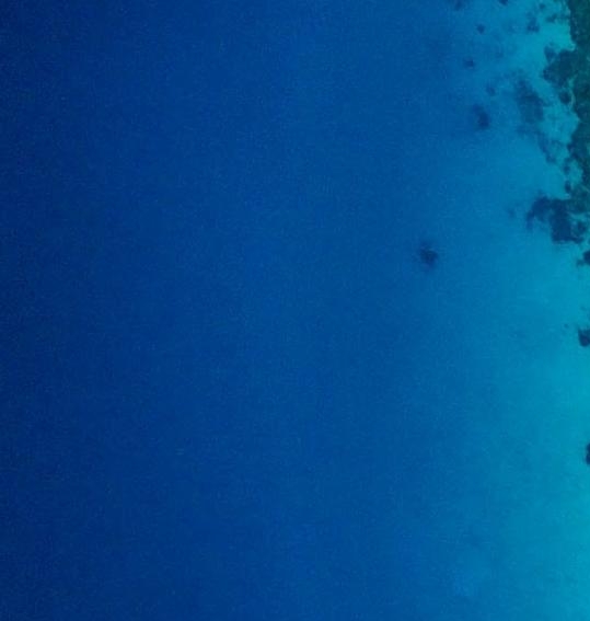 老窖洞生活和百年老窖洞藏30详解