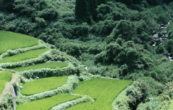 古代道士的生活作息规律及生存之道