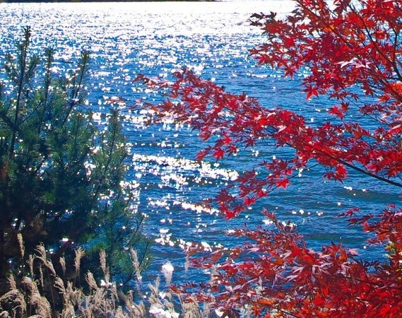 百家姓名大全排名