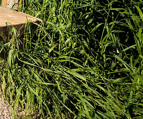 摩尔生活城天门