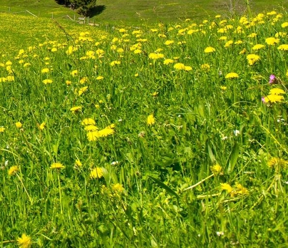 昆山长鹰科技