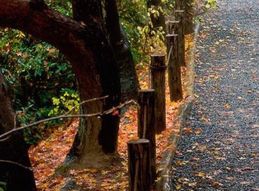 邮生活注册有风险吗