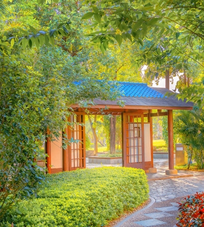 生活常识小知识