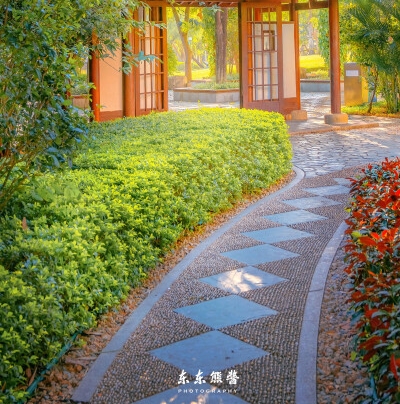端午蒸糯米
