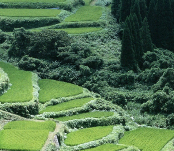 四川凉山村民生活