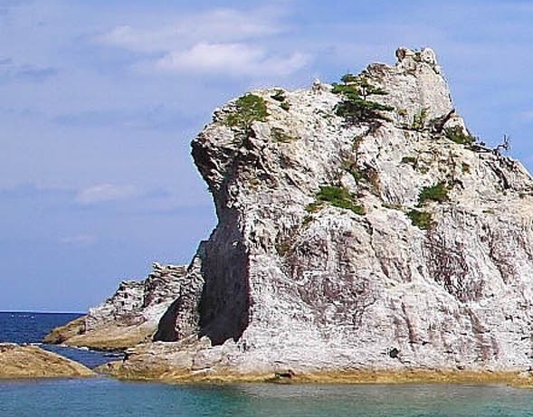 中国电建郭玮简历