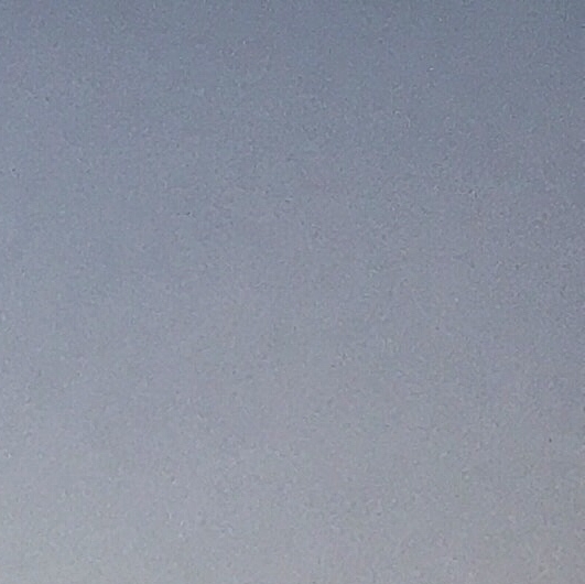 防疫泡泡什么意思